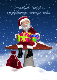 Polnische Weihnachtskarten Zazzle De