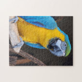 Spaß! Puzzle - Blau-und-gelbe Maca (Horizontal)