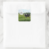 Spaß Quadratischer Aufkleber (Tasche)