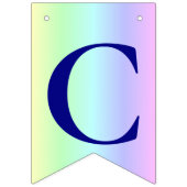 Spaß, Regenbogen Farbige Streifen Abschluss Foto Wimpelkette (Zweite Fahne)