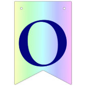 Spaß, Regenbogen Farbige Streifen Abschluss Foto Wimpelkette (Dritte Fahne)