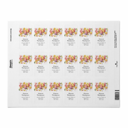 Spaß Sommerspass Popsicles Adressaufkleber (Vorne)