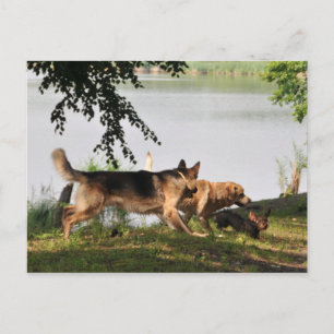 Spaß, Spaß, Spaß! Postkarte