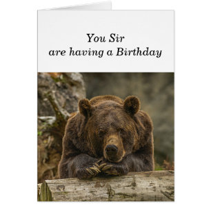 Spaß über dem Hügel ernstlich aussehender Grizzly