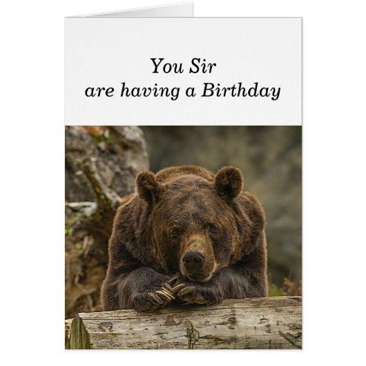 Spaß über dem Hügel ernstlich aussehender Grizzly (Vorne)