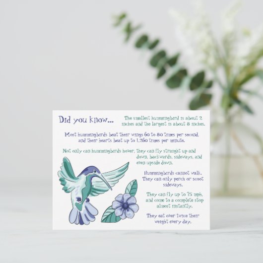 Spaß über Hummingvögel Postkarte (Stehend Vorderseite)