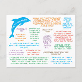 Spaß über Tiere Niedlich und farbenfroh Postkarte