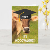 Spaß und Alberner Kuh-Abschluss Karte (Gelbe Blume)