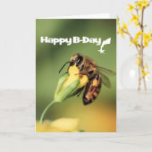 Spaß und Cooler Garten Honey Bee Happy Birthday Karte (Gelbe Blume)