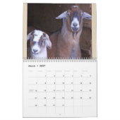 Spaß und Freundlichkeit Kalender (Mär 2027)