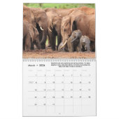 Spaß und interessante Fakten über Elefanten Kalender (Mär 2026)