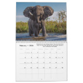 Spaß und interessante Fakten über Elefanten Kalender (Feb 2026)