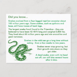 Spaß und interessante Schlangenfakte Postkarte