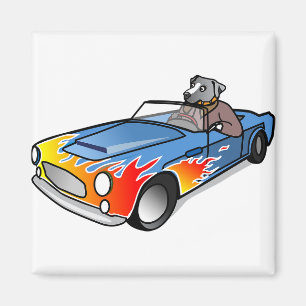 Spaß und Spaß, Autocharakter. Magnet
