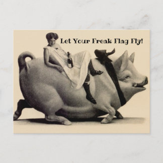 Spaß Vintage Postkarte Lasse Ihre Freak Flag Fly!