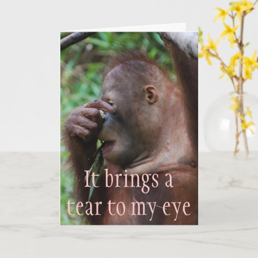 Spaß von leichten Frauen über das Altern Karte (Gelbe Blume)