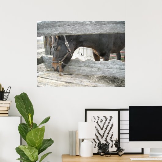 Spaß von Zuchtpferden Poster (Heimbüro)