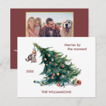 Spaß Weihnachtsbaum Dangling Cat Foto