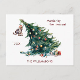 Spaß Weihnachtsbaum Dangling Cat Foto Feiertagspostkarte