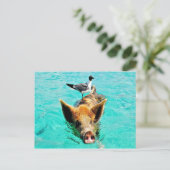 Spaß zusammen staniel Cayschwimmenschwein-Seemöwe Postkarte (Stehend Vorderseite)