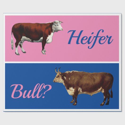 Spaßige Färse oder Bulle Geschlechtsenthüllung mit Geschenkpapier (Flach)