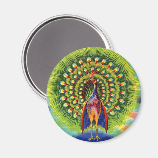 Spaßpflasterdruck Magnet (Vorderseite/Rückseite)