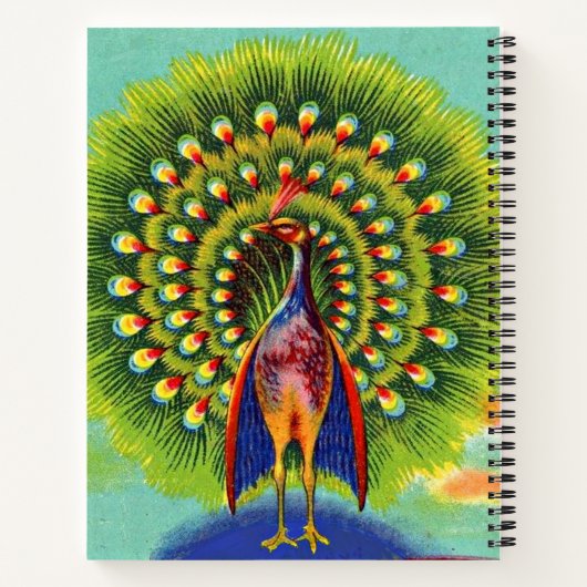 Spaßpflasterdruck Notizblock (Rückseite)