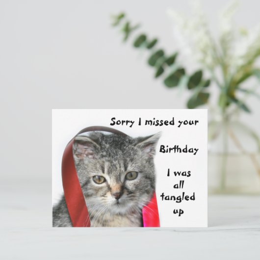 Spate Birthday Kitten Postkarte (Stehend Vorderseite)