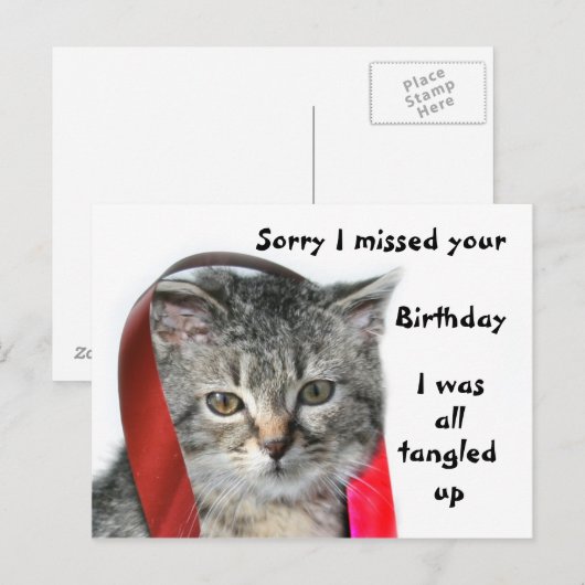 Spate Birthday Kitten Postkarte (Vorne/Hinten)