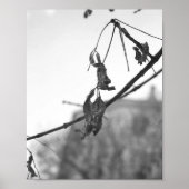 Späte Herbstgeflüster Poster (Vorne)