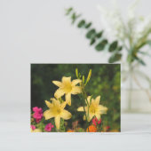 Späte Sommer-Taglilien Postkarte (Stehend Vorderseite)