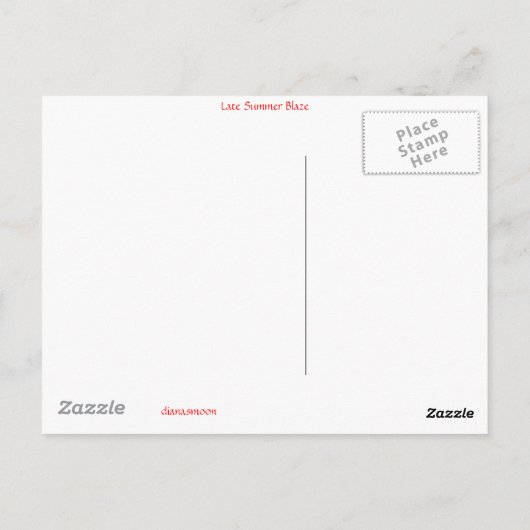 Spate Summer Blaze Postkarte (Rückseite)