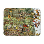 Spate Summer Magnet (Horizontal)
