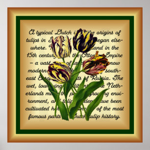 Späte Tulips Bizarres ~ Botanische Kunst Print ~ Poster