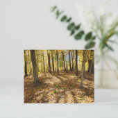 Später Fall im Wald Postkarte (Stehend Vorderseite)