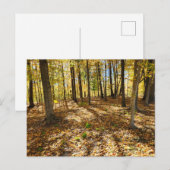 Später Fall im Wald Postkarte (Vorne/Hinten)