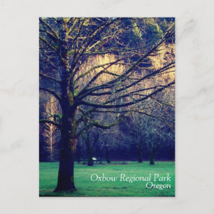 Später Herbst im Oxbow Regional Park, Oregon Postkarte