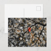 Später Herbst Postkarte (Vorne/Hinten)