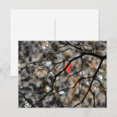 Später Herbst Postkarte (Vorne/Hinten)
