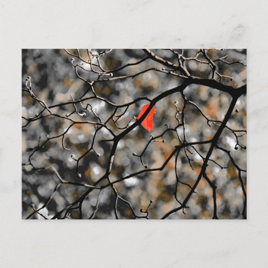 Später Herbst Postkarte (Vorderseite)