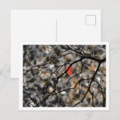 Später Herbst Postkarte (Vorne/Hinten)