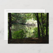 Später Sommer am Waldenteich Postkarte (Vorne/Hinten)