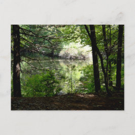 Später Sommer am Waldenteich Postkarte