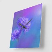 Später Sommer Blume Florenz Lila Cornflora Quadratische Wanduhr (Winkel)