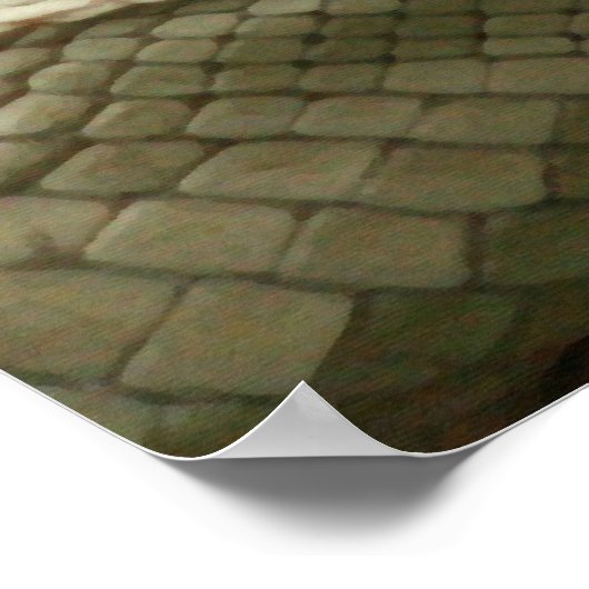 Spätere Alligator sehen Poster (Ecke)