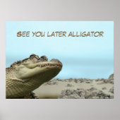Spätere Alligator sehen Poster (Vorne)