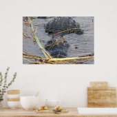 Spätere Alligator sehen Poster (Küche)