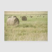 Spätes Heu in einem Bauernhof Seidenpapier (Vorderseite)