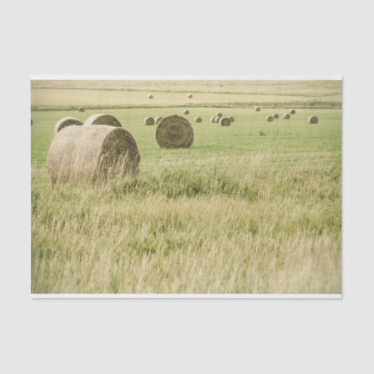 Spätes Heu in einem Bauernhof Seidenpapier (Vorderseite)