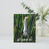 Spätestens, einfach nur hinausschauen postkarte (Stehend Vorderseite)